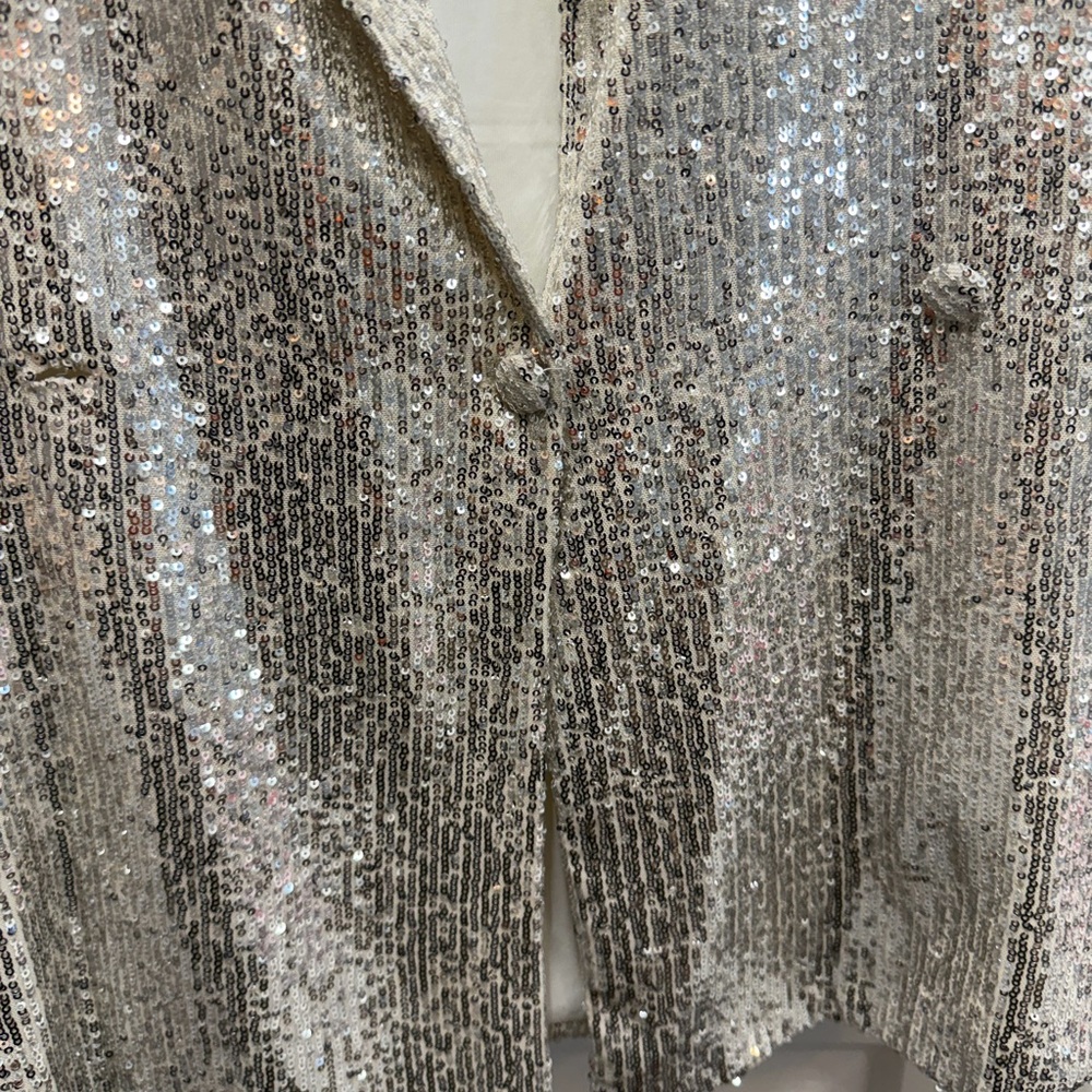 Gianni Bini Silver Sequin Blazer - Picture 5 of 5